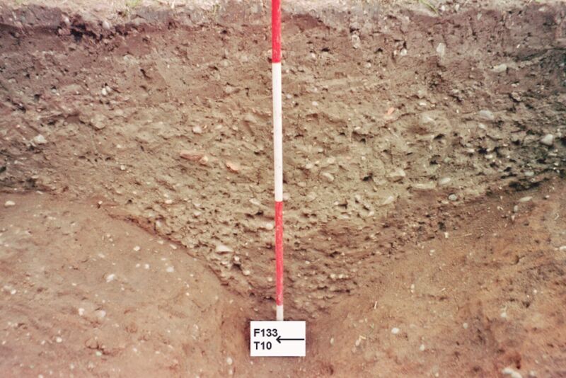 Plate 14. T10, homogeneous deliberate fill of the ditch F133.