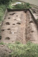 Plate 13. Trenches 10, 11, & 12. Post holes following the line of ditch F133, a further posthole is present under the far baulk, total length is 17m. The oven is top centre.