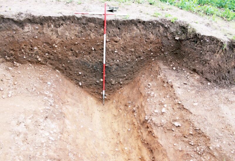 Plate 24. The fill of the ditch in trench 17