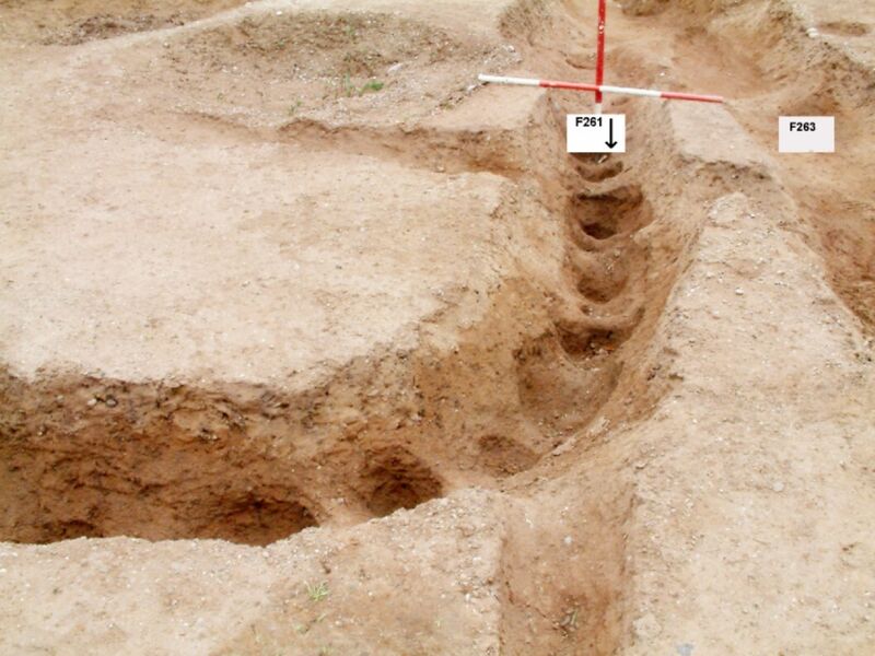 Plate 31. The late Iron Age stockade or palisade trench (F261) in S4, looking south-east, with the post impressions still clear, crossing the earlier gully F263